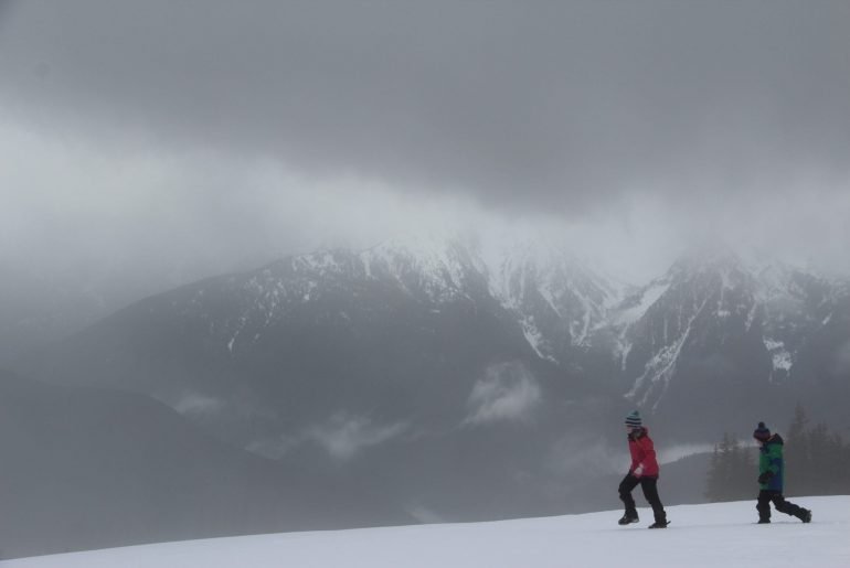 Hurricane Ridge, Olympic National Park